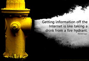 Getting information off the internet is like taking a drink from a fire hydrant
